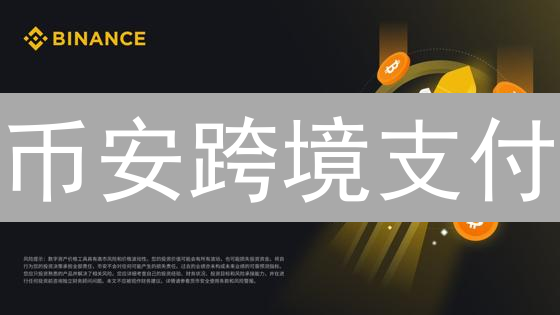币安跨境支付：优势、挑战与未来展望 (15-30字)