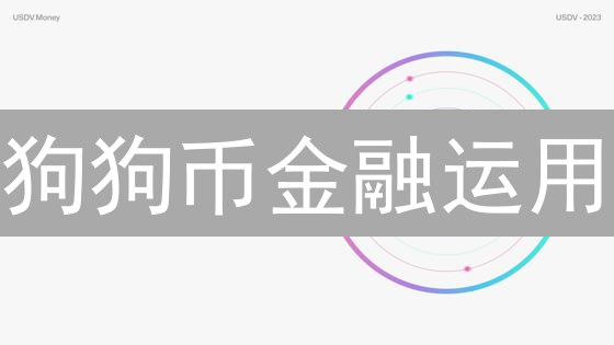 狗狗币金融运用：超越模因，探索小额支付、慈善捐赠与跨境支付