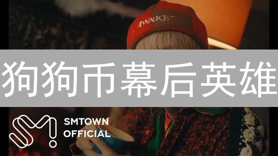 狗狗币幕后英雄：揭秘开发团队的光与影
