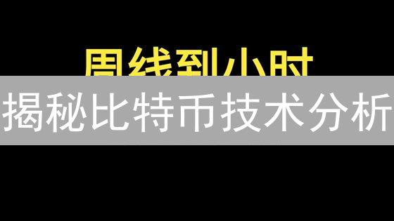 揭秘比特币技术分析：新手也能看懂的赚钱秘籍？