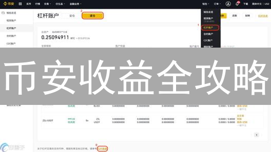 币安收益全攻略：追踪你的投资增长，让财富滚雪球！