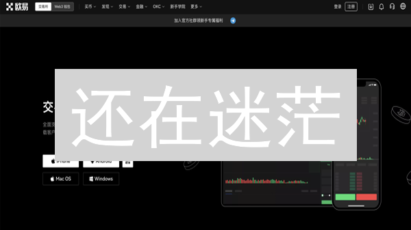 还在迷茫？欧易资产明细查询终极指南：一文掌握，轻松理财！