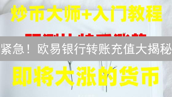 紧急！欧易银行转账充值大揭秘：避坑指南来了！