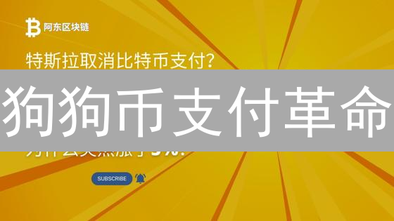 狗狗币支付革命：速度与激情，颠覆你的支付想象！