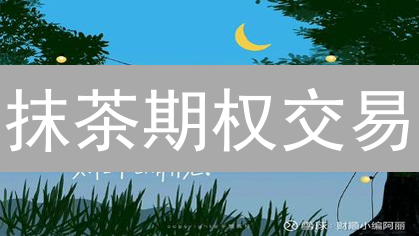 抹茶期权交易：新手福音还是高风险陷阱？一文看懂！