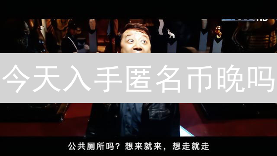 今天入手匿名币晚吗？5分钟了解匿名币的风险与优势！