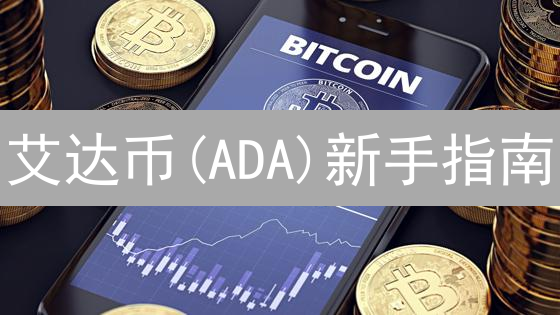 艾达币(ADA)新手指南：法币充值交易所，5分钟入门！