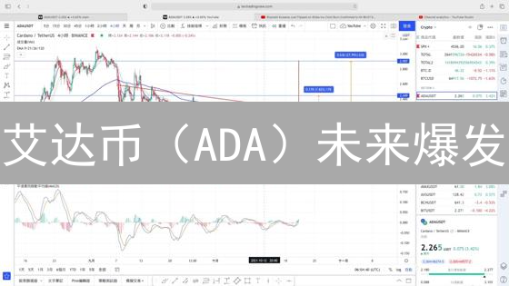 艾达币（ADA）未来爆发？深度剖析Cardano潜力与挑战！