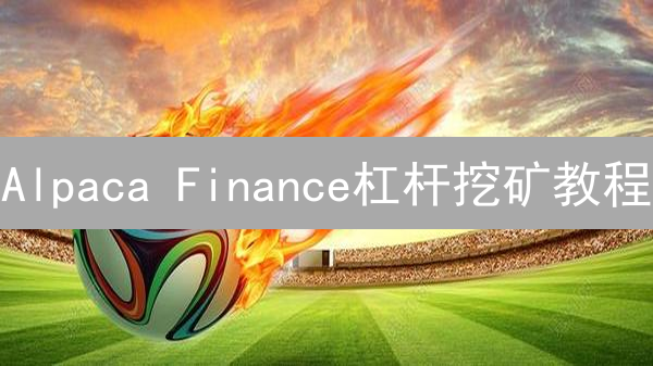 Alpaca Finance杠杆挖矿教程：新手如何快速入门？2024最新指南！