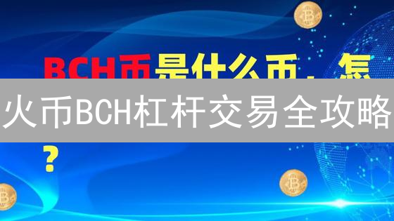 火币BCH杠杆交易全攻略：新手必看！风险评估与实战技巧，速看！