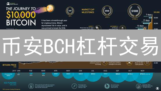 币安BCH杠杆交易：新手必看！高收益与风险并存？