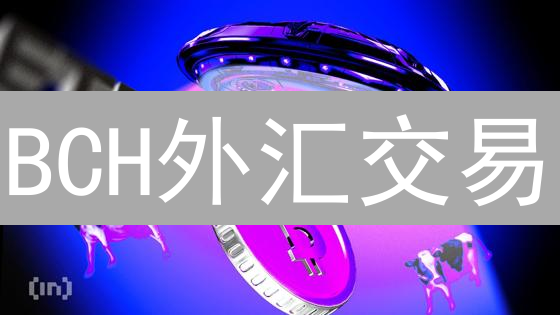 BCH外汇交易：新手也能躺赚？揭秘暴富秘籍！