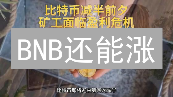 BNB还能涨？深度剖析币安币未来走势！