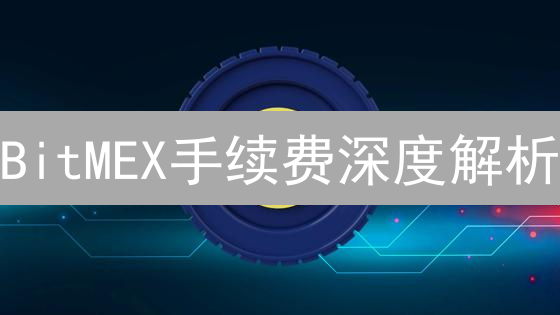 BitMEX手续费深度解析：降低交易成本，提升盈利能力！