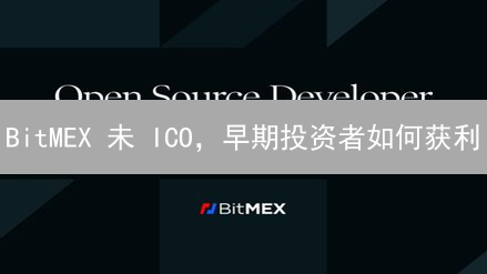 BitMEX 未 ICO，早期投资者如何获利？深度解析潜在回报！