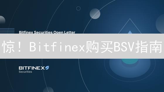 惊！Bitfinex购买BSV指南：小白也能轻松上手，抄底机会来了？