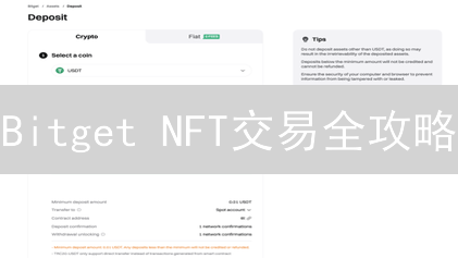 Bitget NFT交易全攻略：新手也能轻松玩转？