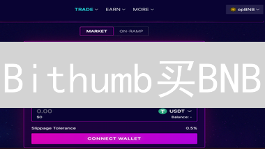 Bithumb买BNB：3大策略，解锁韩国币安币购买秘籍！