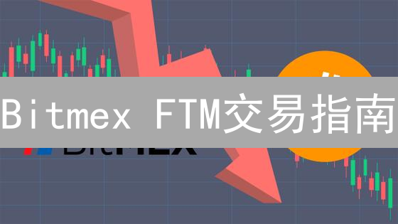 Bitmex FTM交易指南：间接投资Fantom，你必须知道的秘密！