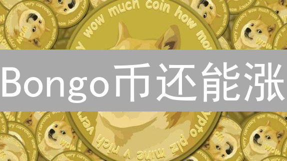 Bongo币还能涨？深度剖析未来潜力与风险！