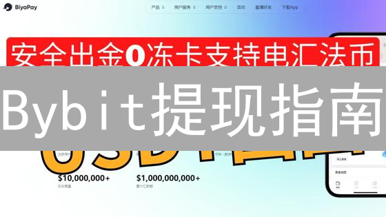 Bybit提现指南：3分钟搞懂法币提现全攻略！避坑指南