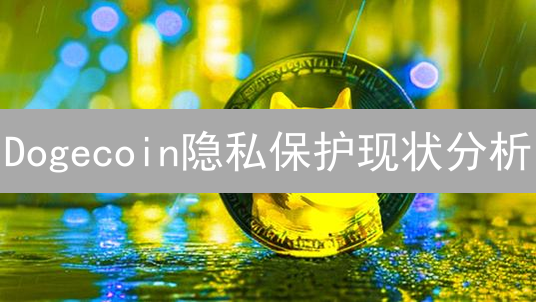 Dogecoin隐私保护现状分析：迷因币的隐私挑战与应对策略