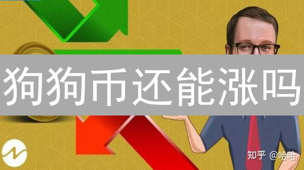 狗狗币还能涨吗？深度解析Dogecoin的机遇与风险！