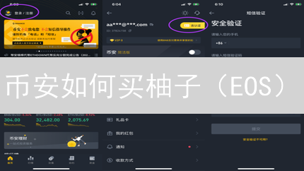币安如何买柚子（EOS）？新手快速入门指南！