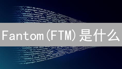 Fantom(FTM)是什么？2024年Fantom链的优势与未来发展方向？