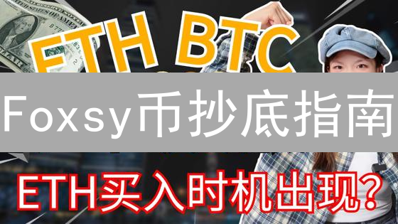 Foxsy币抄底指南：交易所PK，揭秘最低价购买秘籍！