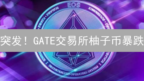 突发！GATE交易所柚子币暴跌？揭秘真相与未来走向