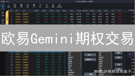 欧易Gemini期权交易：3招规避爆仓危机！