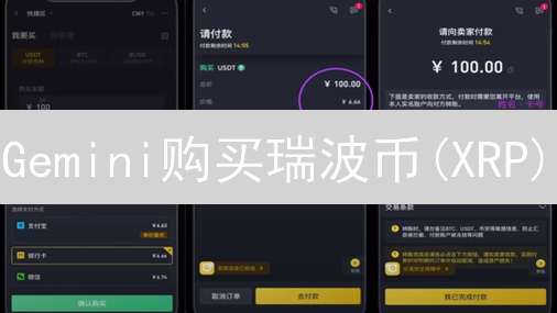 Gemini购买瑞波币(XRP)：8大要点、风险与策略详解！