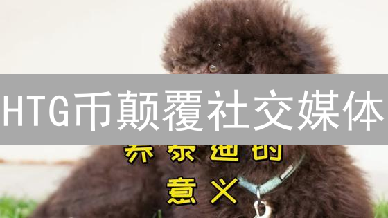 HTG币颠覆社交媒体？深度解析其崛起与未来挑战！