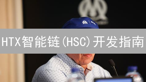 HTX智能链(HSC)开发指南：深入探索与实战教程