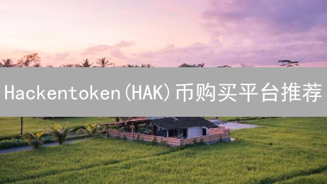 Hackentoken(HAK)币购买平台推荐：选择指南与最佳交易所