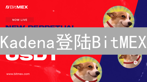 Kadena登陆BitMEX：高杠杆交易策略与风险分析