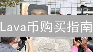 Lava币购买指南：新手也能轻松入门？2024最新教程！