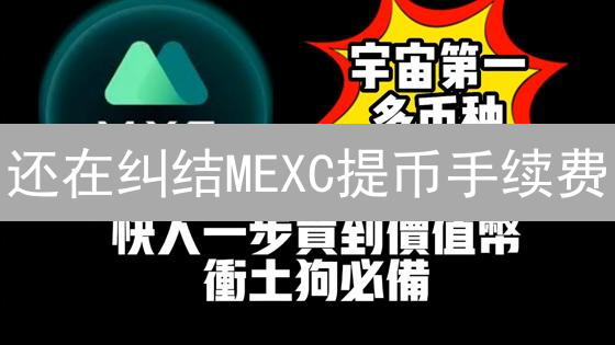 还在纠结MEXC提币手续费？省钱秘笈大公开！