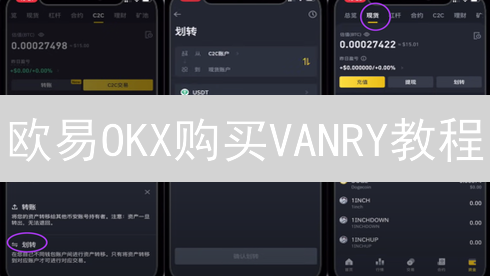 欧易OKX购买VANRY教程：支付方式设置与操作指南