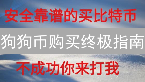 狗狗币购买终极指南：OKX平台哪种方式最划算？【避坑攻略】