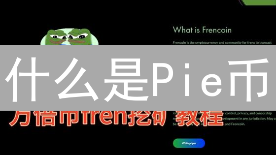 什么是Pie币？一种旨在普及加密货币的新型数字货币解析