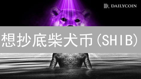 想抄底柴犬币(SHIB)？新手必看HTX购买指南！风险提示！