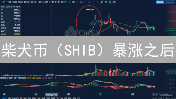柴犬币（SHIB）暴涨之后：欧易OKX平台上的未来走势？