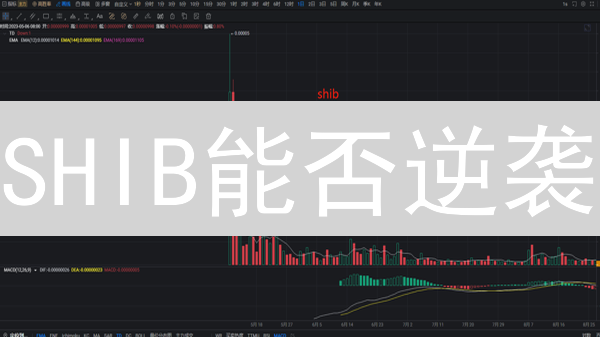 SHIB能否逆袭？币安支付能否助其摆脱模因标签？
