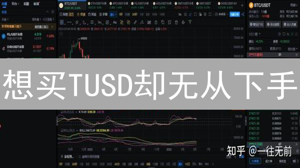 想买TUSD却无从下手？欧意交易所购买攻略，一学就会！