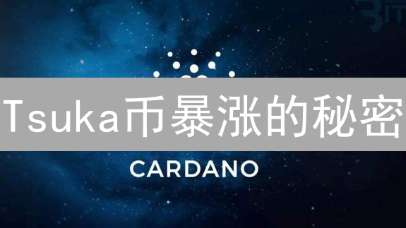 Tsuka币暴涨的秘密？深度解析迷因币未来趋势！
