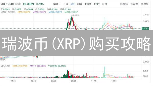 瑞波币(XRP)购买攻略：火币三大平台深度测评，助你精准投资！