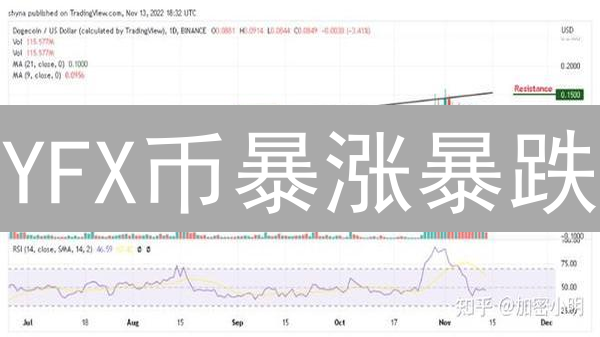 YFX币暴涨暴跌？深度解析影响YFX价格的八大关键因素！
